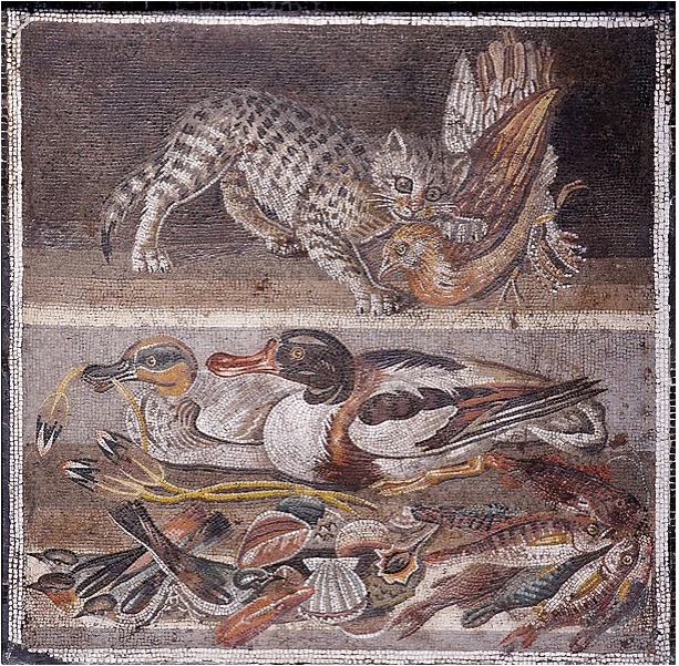 Un chat en mosaïque romaine, à Pompéi